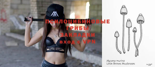 гашик Алзамай