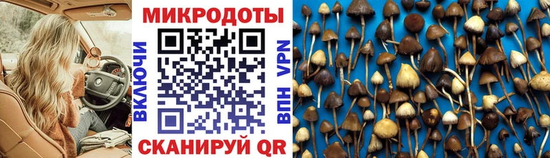 Псилоцибиновые грибы ЛСД  где купить наркотик  Волоколамск 