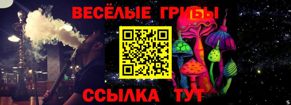 Галлюциногенные грибы прущие грибы Волоколамск