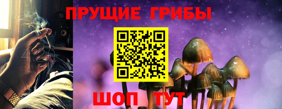купить закладку  Галлюциногенные грибы Psilocybe  Галлюциногенные грибы ЛСД  Вход с VPN  Волоколамск 